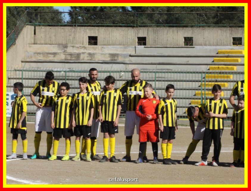 190310 Cephal_Torrenov 037_tn.jpg